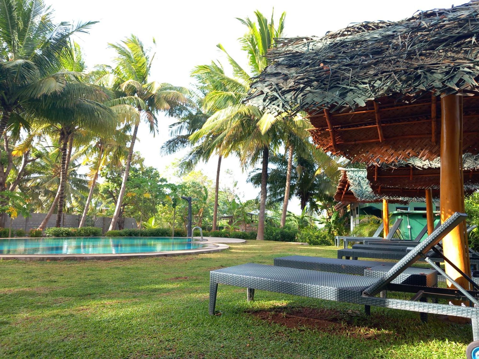 The Nature Park Villa Sigirîya Extérieur photo