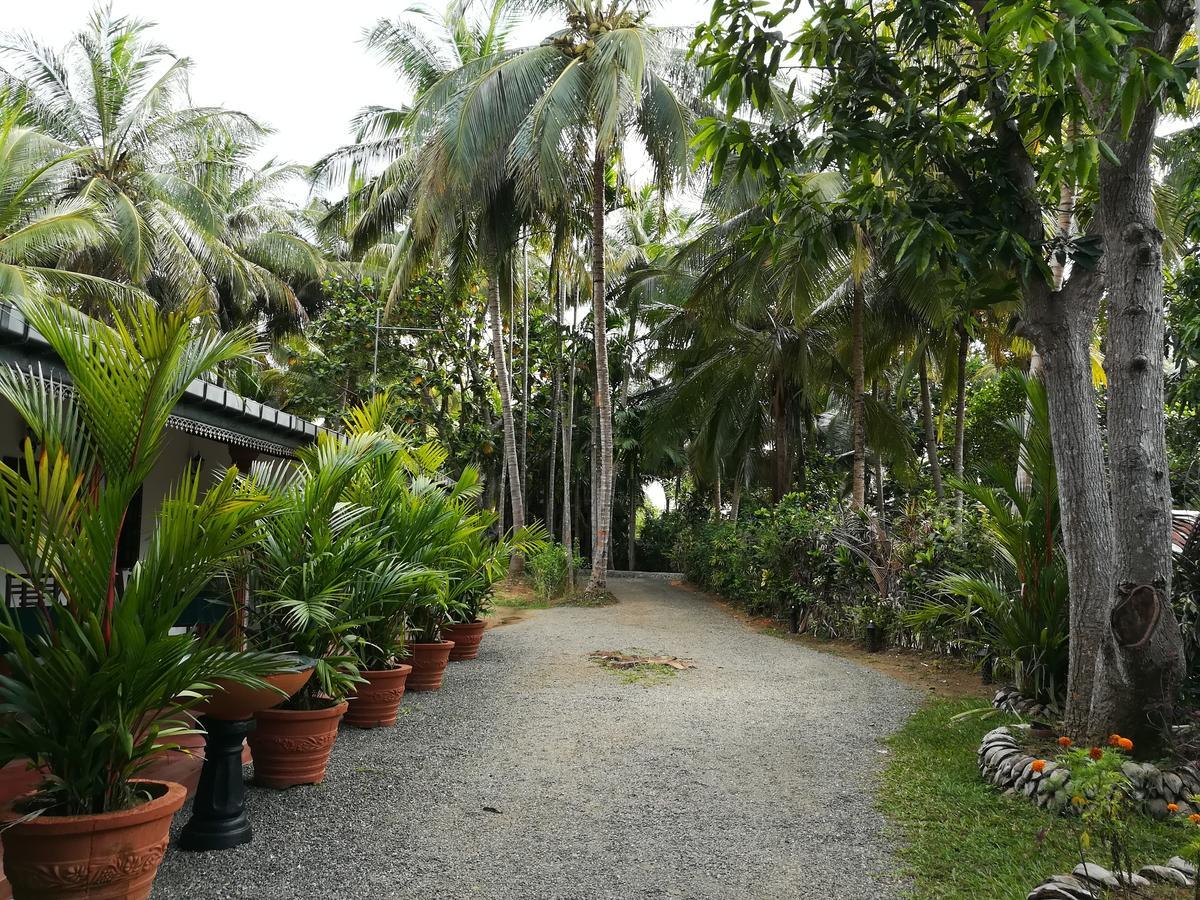 The Nature Park Villa Sigirîya Extérieur photo